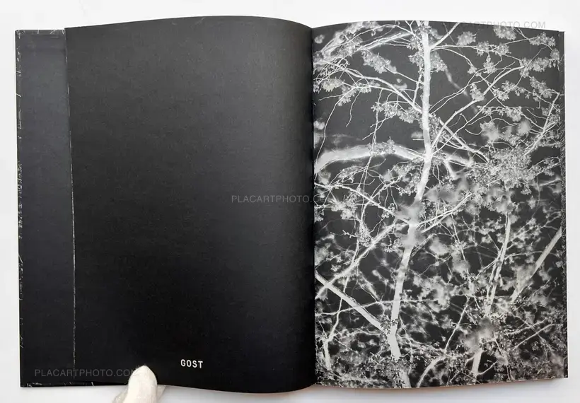 Stacy Mehrfar – The Moon Belongs to Everyone (SIGNED)