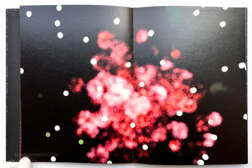 Stacy Mehrfar – The Moon Belongs to Everyone (SIGNED)