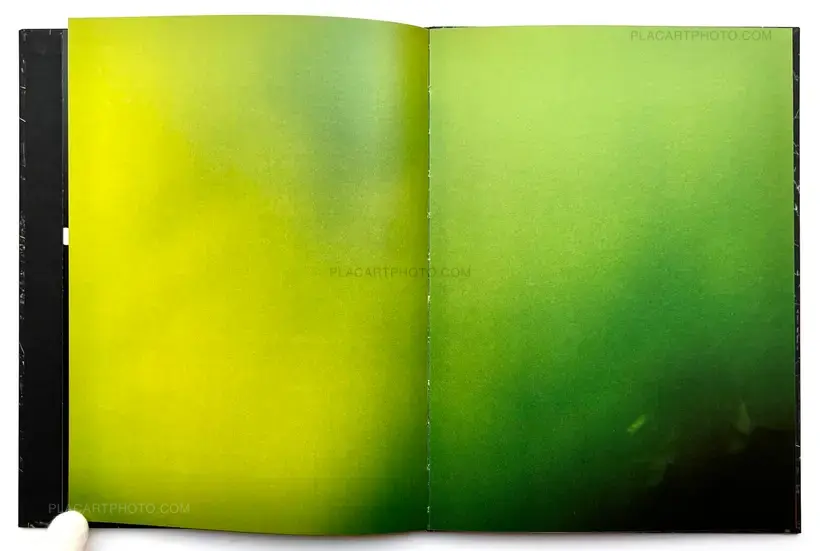 Stacy Mehrfar – The Moon Belongs to Everyone (SIGNED)