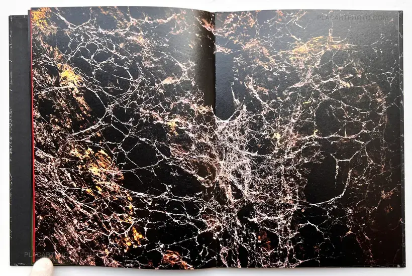 Stacy Mehrfar – The Moon Belongs to Everyone (SIGNED)