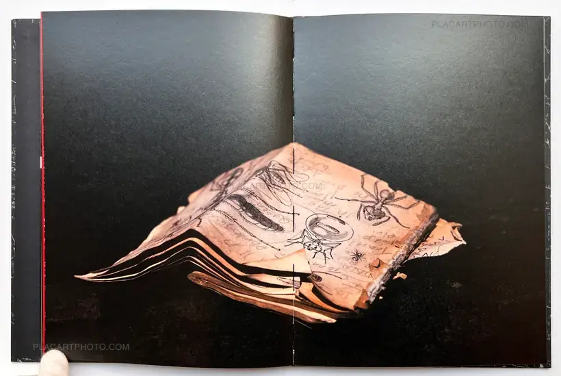 Stacy Mehrfar – The Moon Belongs to Everyone (SIGNED)