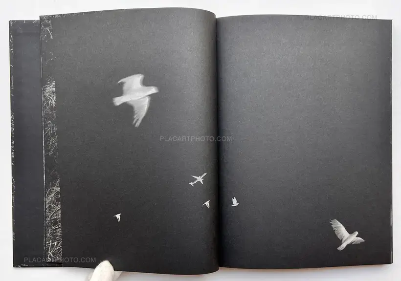 Stacy Mehrfar – The Moon Belongs to Everyone (SIGNED)