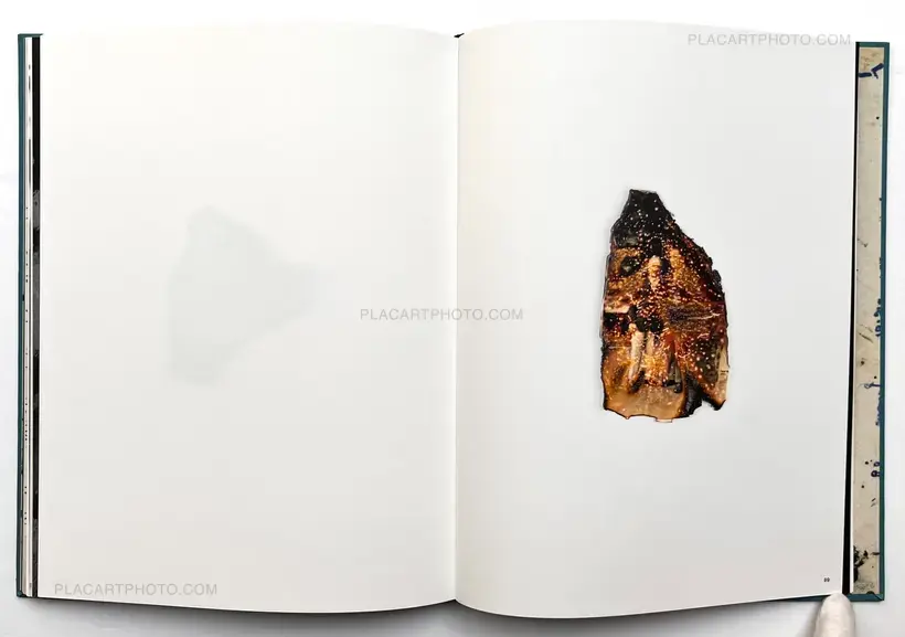 Sara Davidmann – Mischling 1