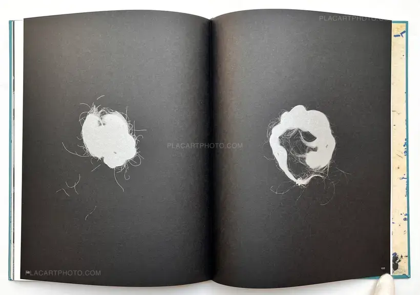 Sara Davidmann – Mischling 1