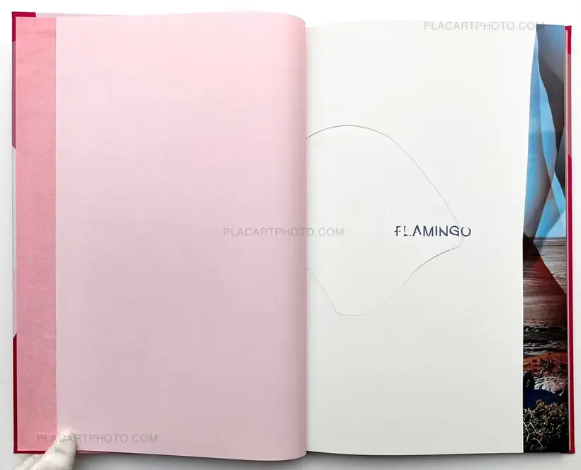 Chloe Sells – Flamingo