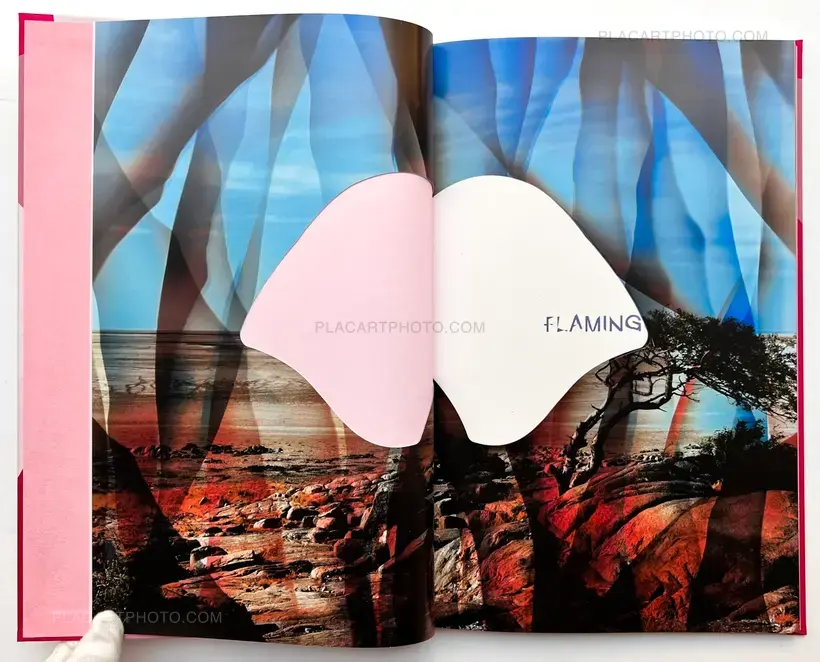 Chloe Sells – Flamingo