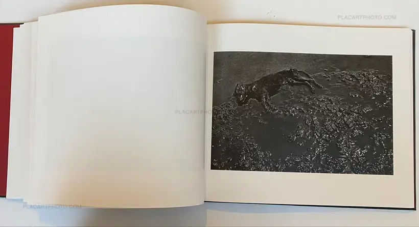 Giorgio Negro – Pathos (SIGNED)