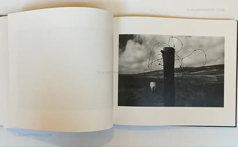 Giorgio Negro – Pathos (SIGNED)