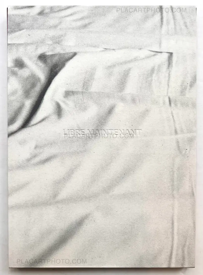 Pierre Liebaert – LIBRE MAINTENANT / FREE NOW (English text)