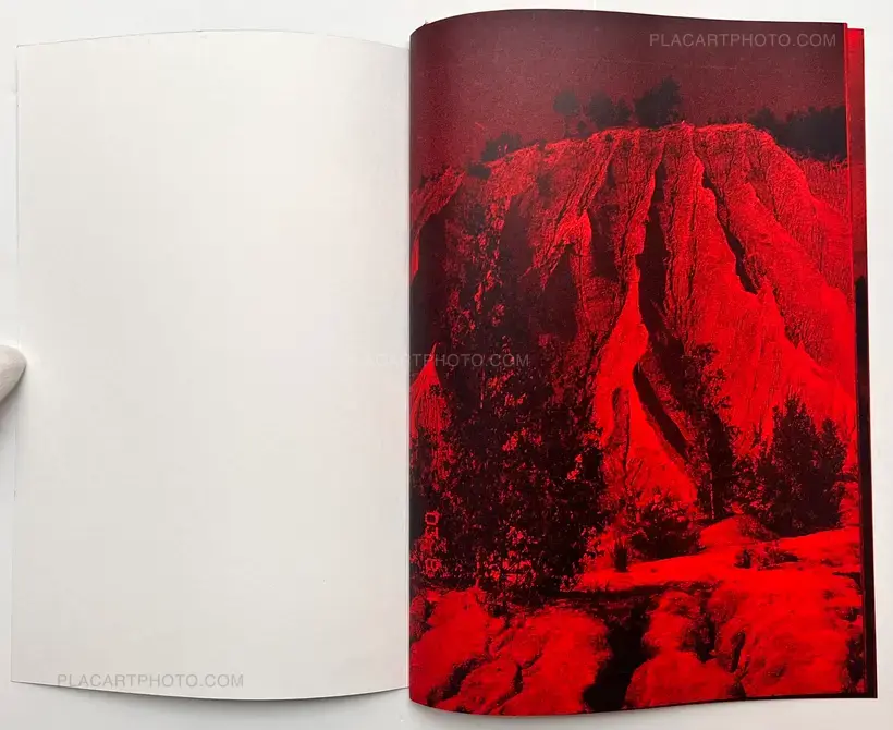 Sara Parson Texas – As far as my eyes can see.