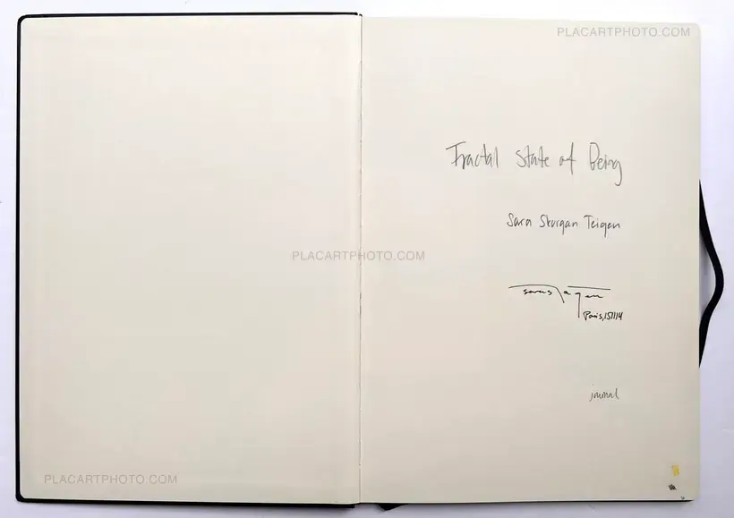 Sara Skorgan Teigen – Fractal State of Being (Sealed Copy)