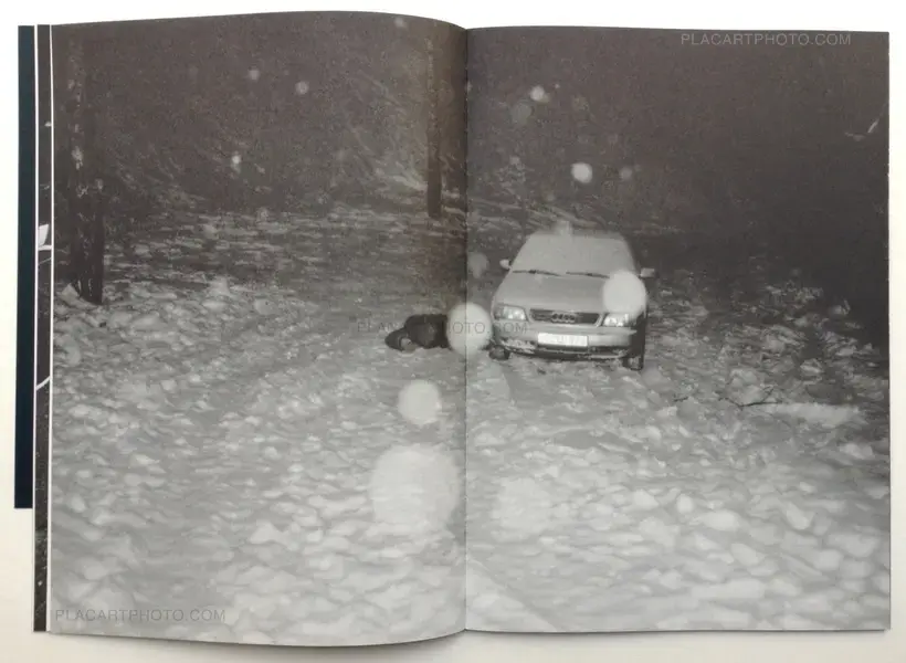 Visvaldas Morkevičius – Public Secrets