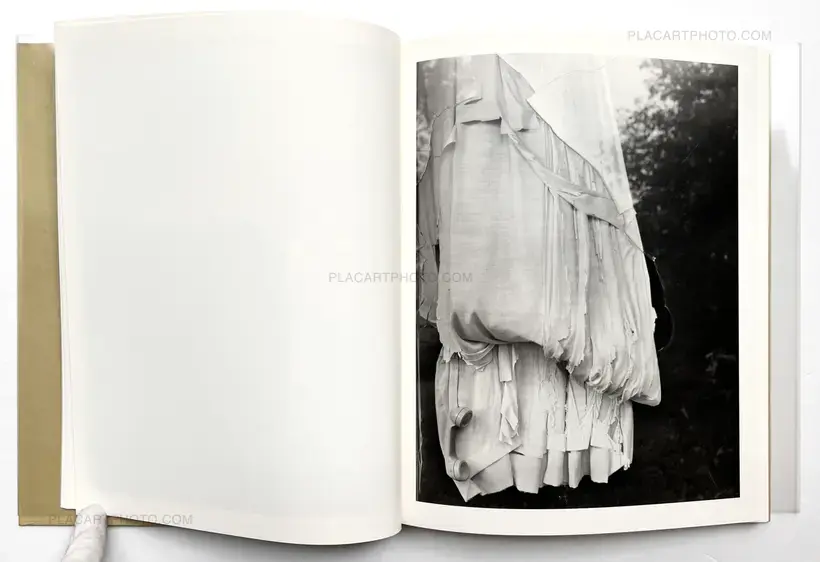 Raymond Meeks – ciprian honey cathedral