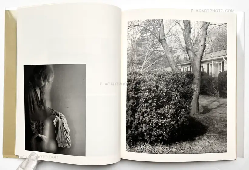 Raymond Meeks – ciprian honey cathedral