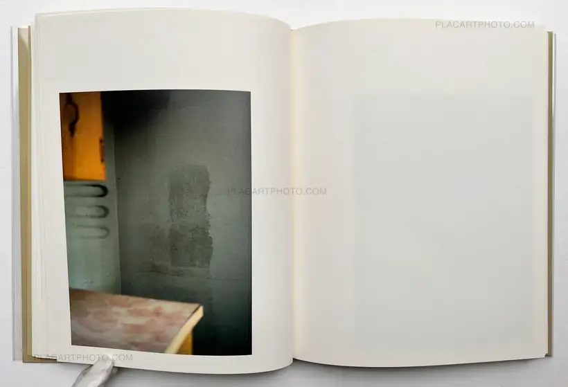 Raymond Meeks – ciprian honey cathedral