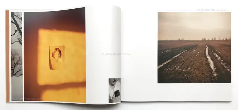 Todd Hido – Excerpts from Silver Meadows