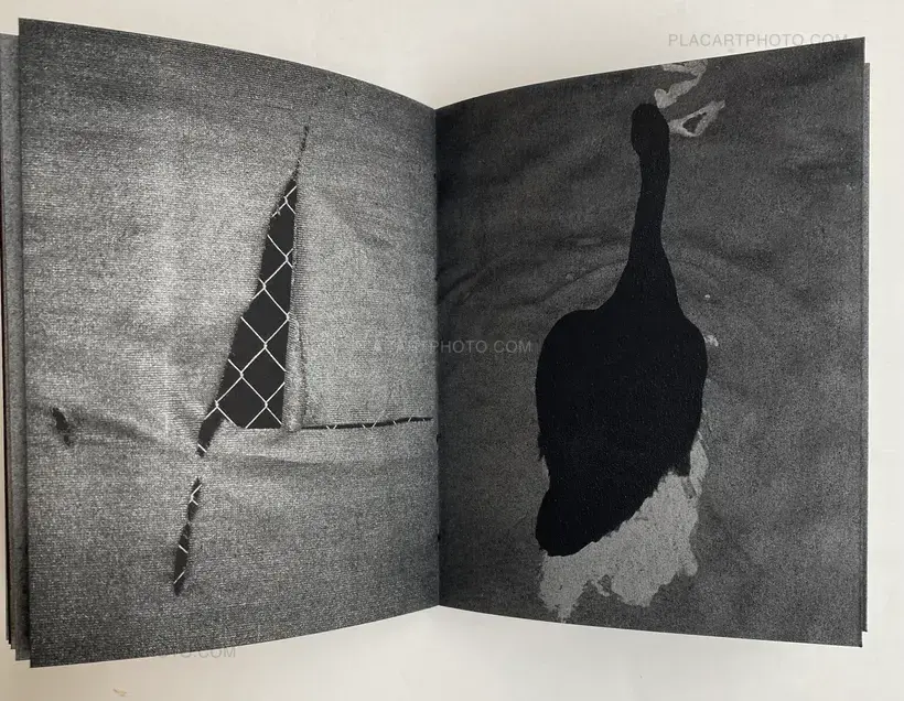 Sayuri Ichida – Absentee (Only 50 Copies)