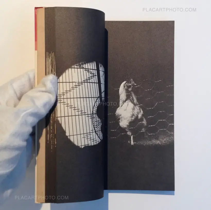 Daido Moriyama – Tono Monogatari/ Tales of Tono