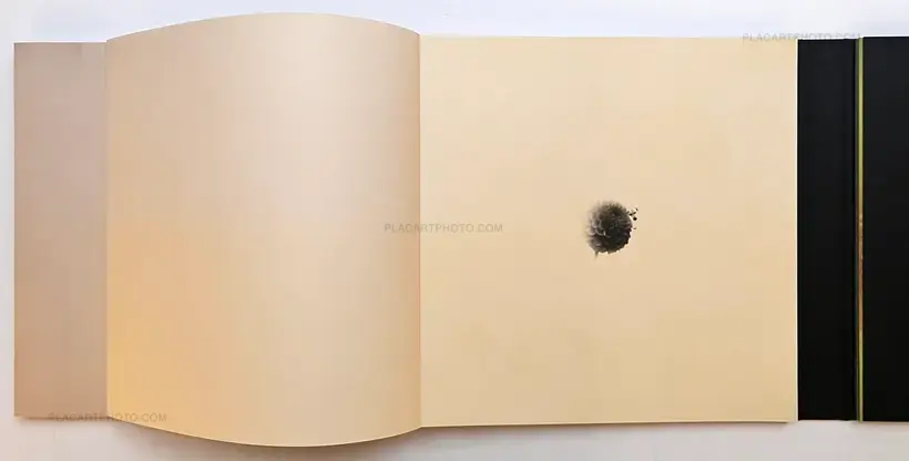 Miho Kajioka – and, do you still hear the peacocks?