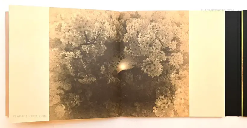 Miho Kajioka – and, do you still hear the peacocks?