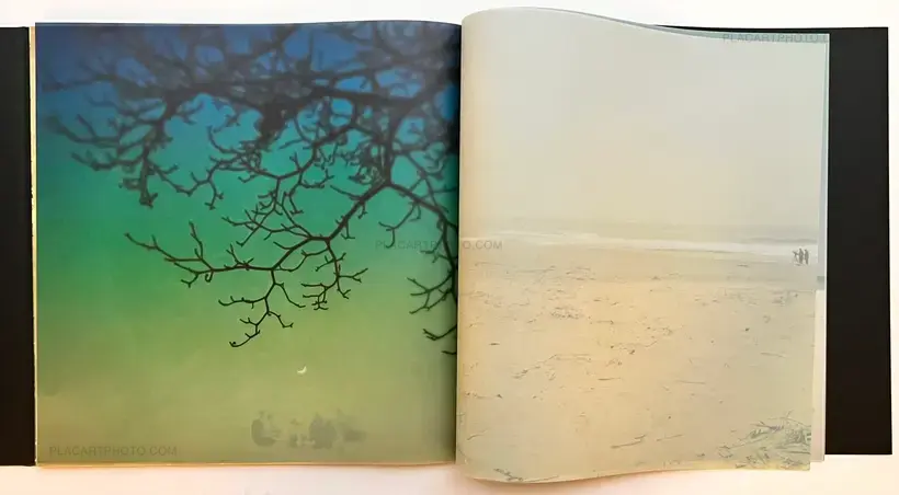 Miho Kajioka – and, do you still hear the peacocks?