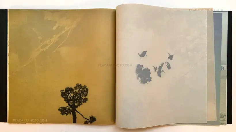 Miho Kajioka – and, do you still hear the peacocks?