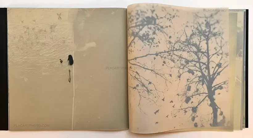 Miho Kajioka – and, do you still hear the peacocks?