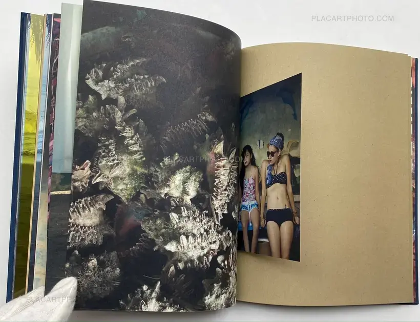 Claudia Lopez Ortega – The Three Corners of the ocean (Signed)