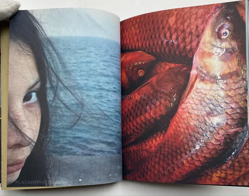 Claudia Lopez Ortega – The Three Corners of the ocean (Signed)