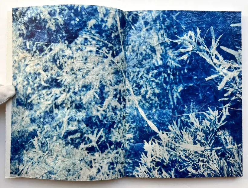 Mika Horie – trees, water and light (Signed no.241/300)