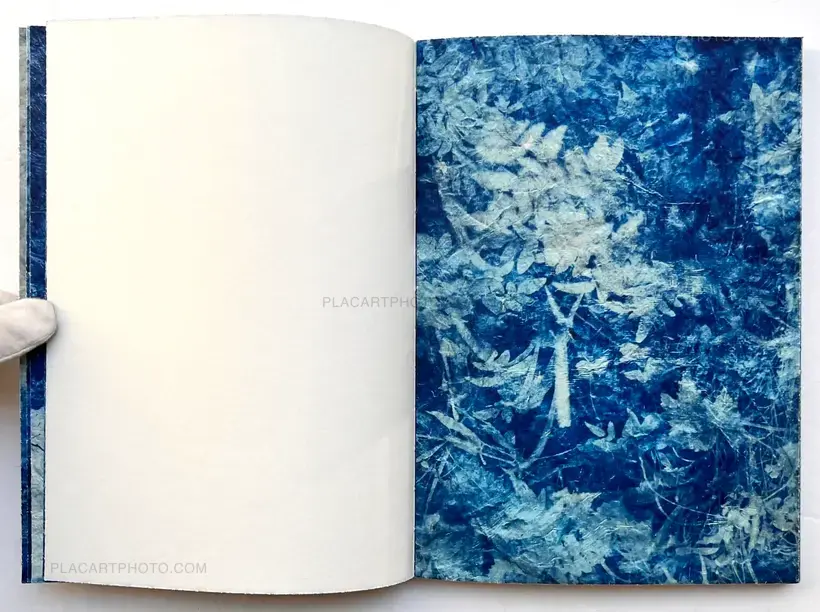 Mika Horie – trees, water and light (Signed no.241/300)