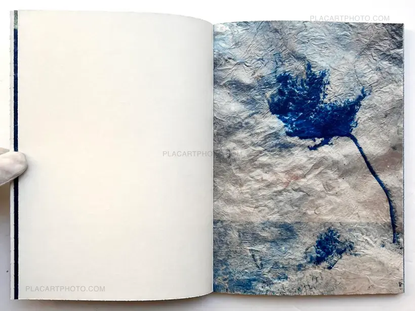 Mika Horie – trees, water and light (Signed no.241/300)