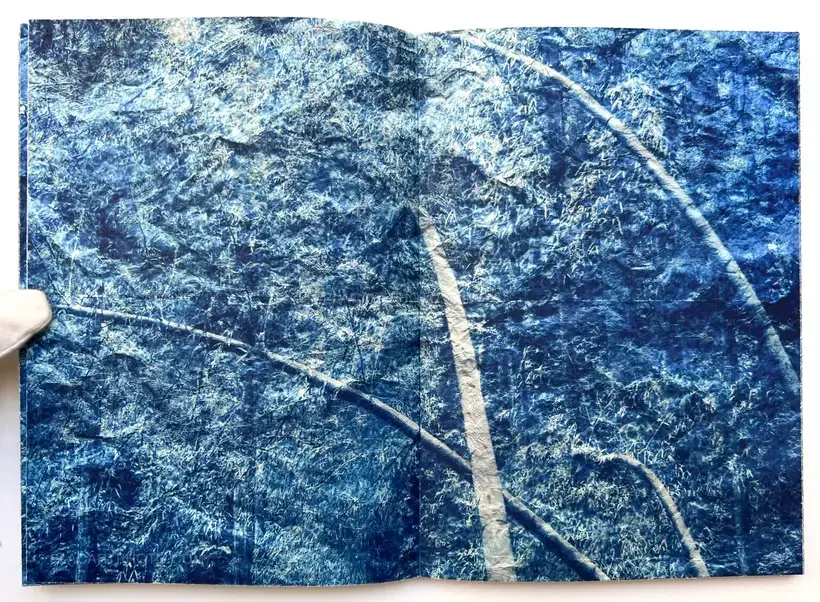 Mika Horie – trees, water and light (Signed no.241/300)