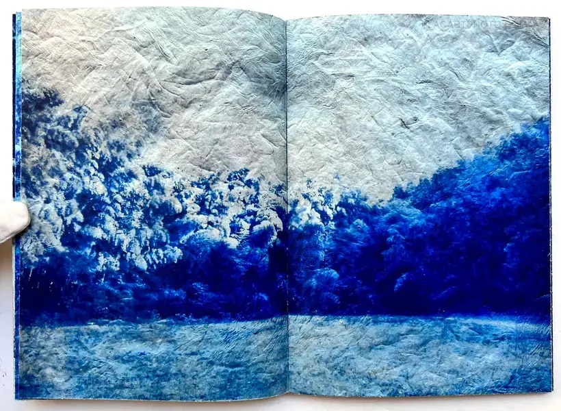 Mika Horie – trees, water and light (Signed no.241/300)
