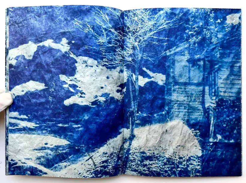 Mika Horie – trees, water and light (Signed no.241/300)