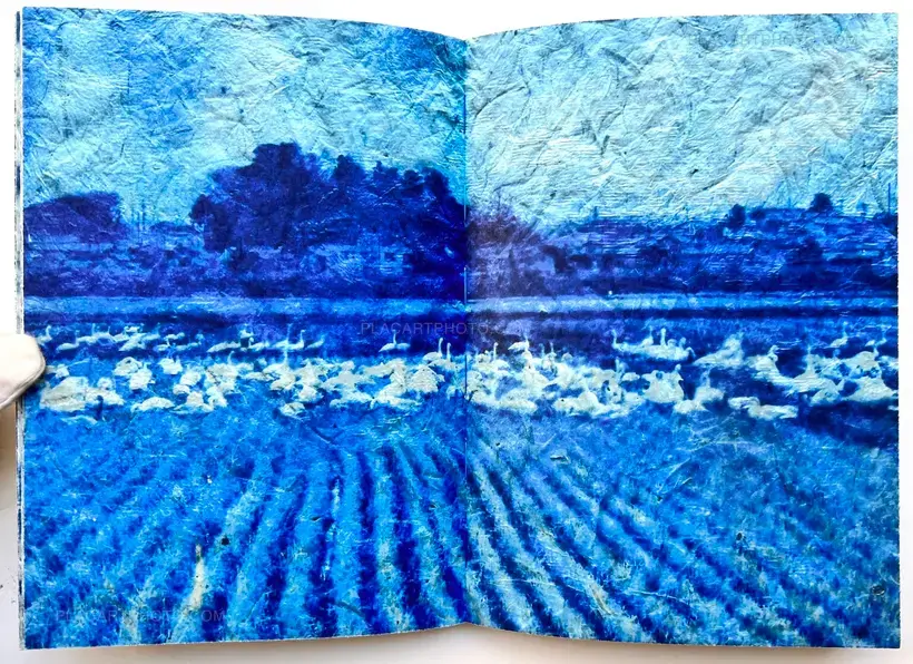 Mika Horie – trees, water and light (Signed no.241/300)