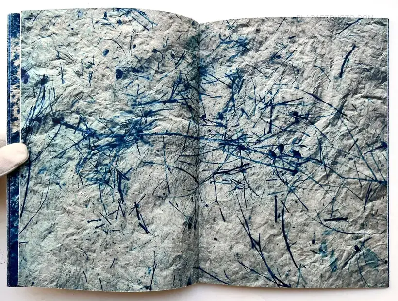 Mika Horie – trees, water and light (Signed no.241/300)