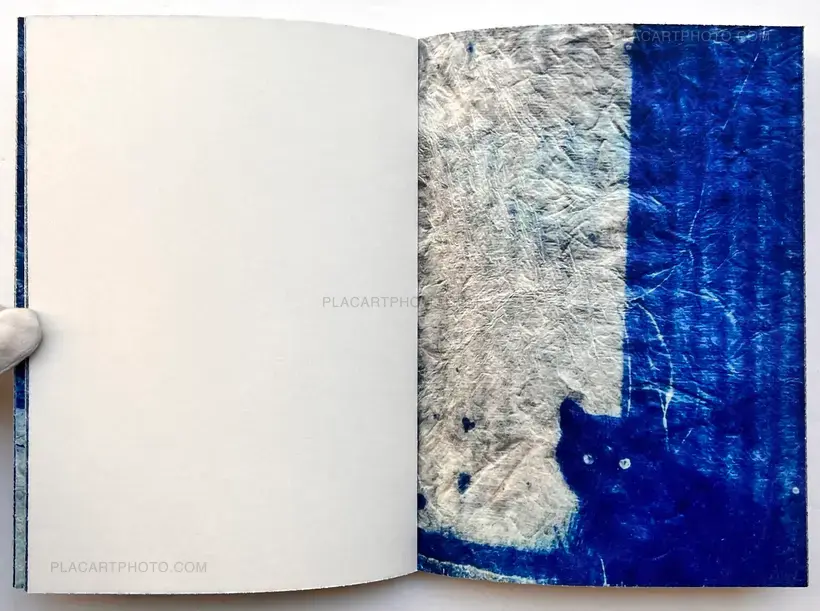 Mika Horie – trees, water and light (Signed no.241/300)