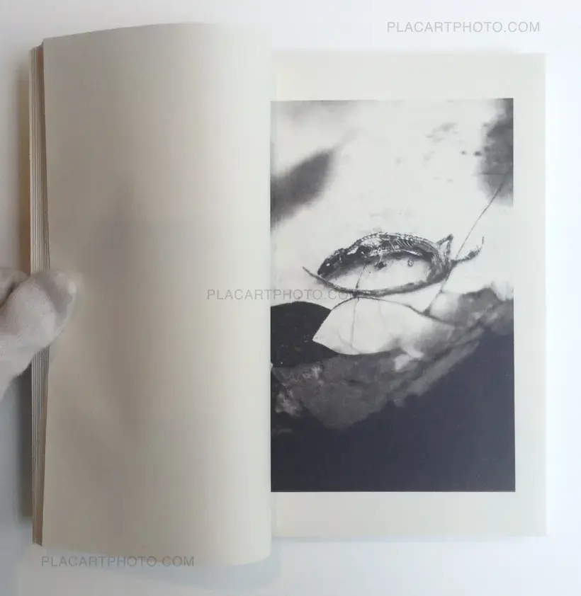 Munemasa Takahashi – Laying Stones (Signed)