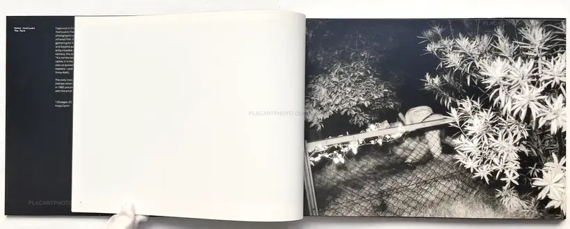 Kohei Yoshiyuki – The Park