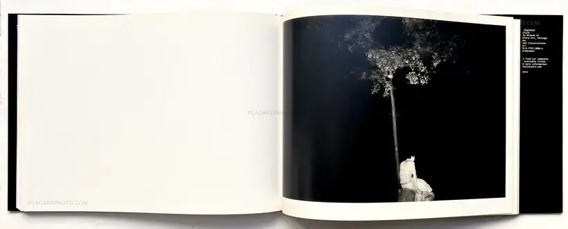 Kohei Yoshiyuki – The Park