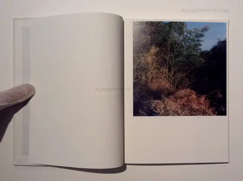 Rinko Kawauchi – Light & Shadow