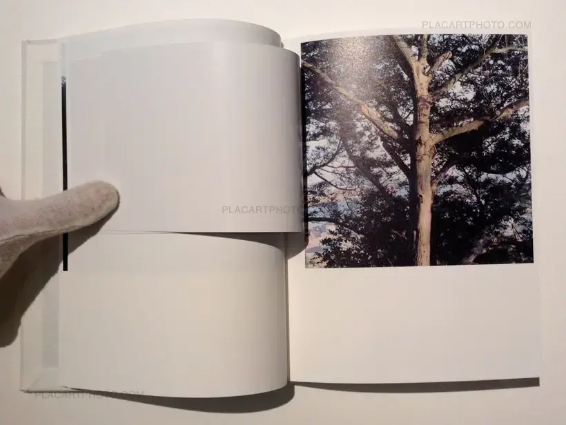 Rinko Kawauchi – Light & Shadow