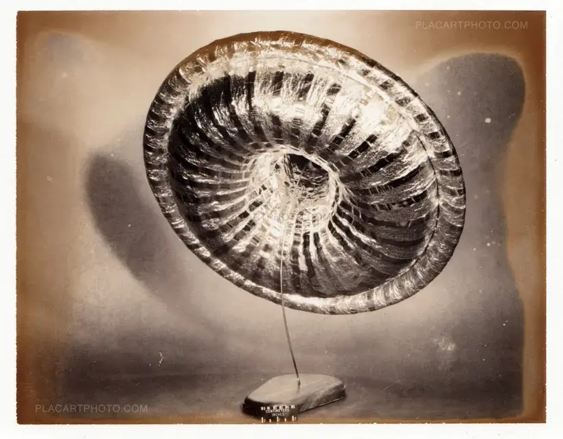 William Deveikis – VERNACULAR NASA ENGINEERING POLAROIDS