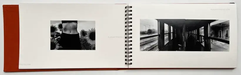 Veronica Mecchia – Wet Clay (Signed and numbered)