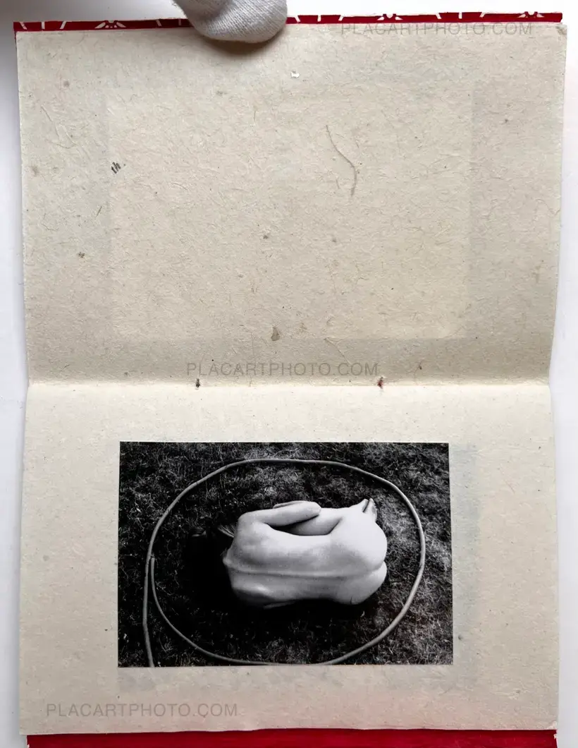 Veronica Mecchia – Blake (Signed and numbered)