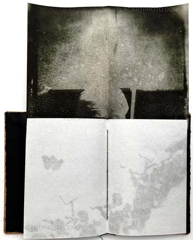 Tomasz Laczny – ERNA HELENA ANIA (Art edition of 45)