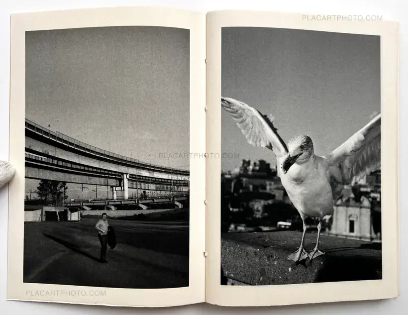 Jean-Marc Caimi & Valentina Piccinni – Rhome (Artist's edition 3/5)