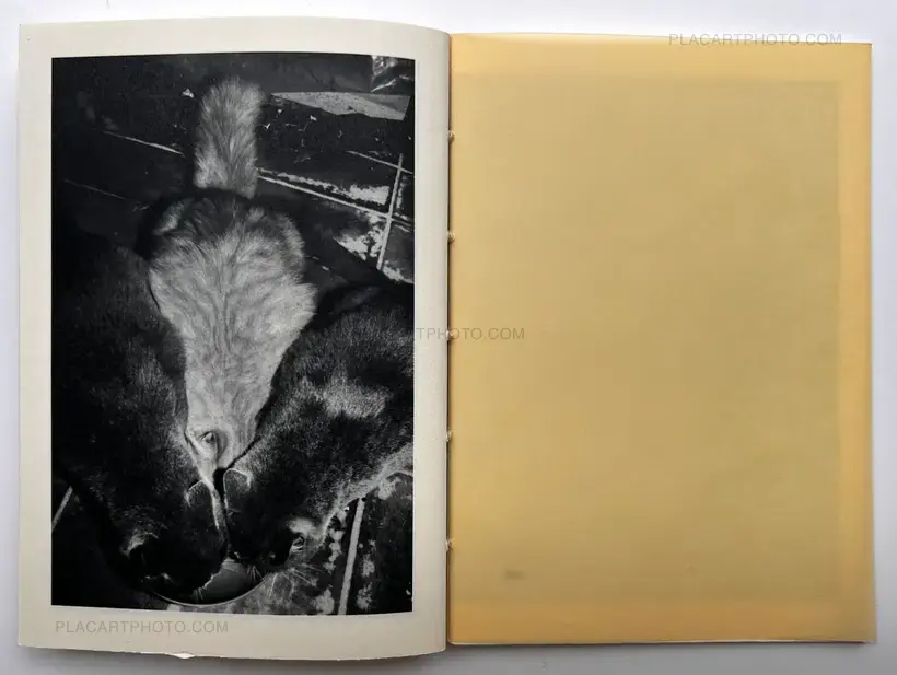 Jean-Marc Caimi & Valentina Piccinni – Rhome (Artist's edition 3/5)