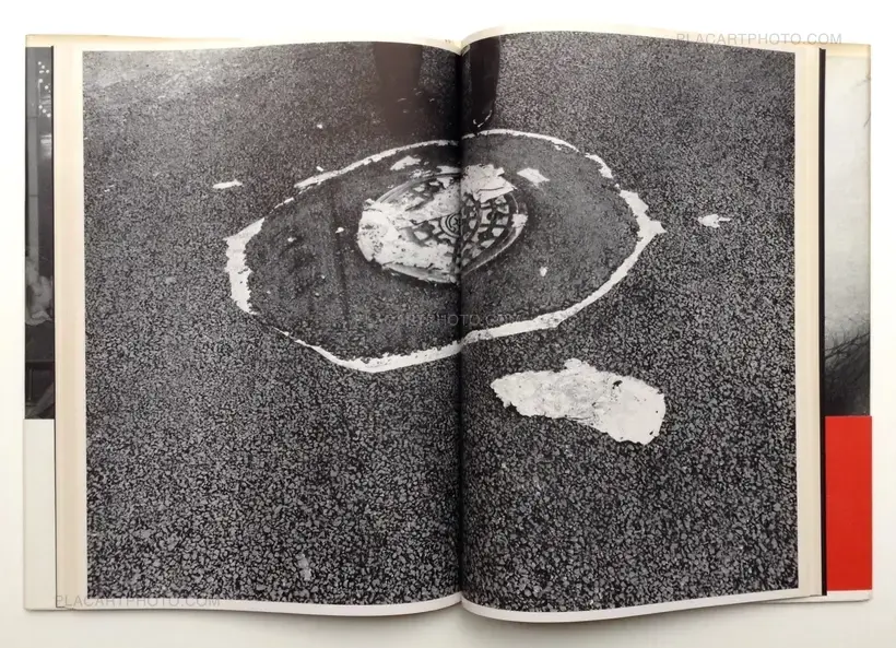 Nobuyoshi Araki – Shashin-Ron